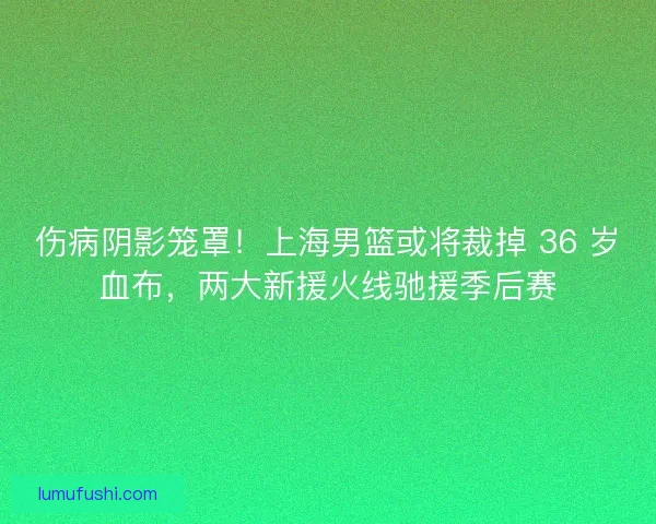 伤病阴影笼罩！上海男篮或将裁掉 36 岁血布，两大新援火线驰援季后赛